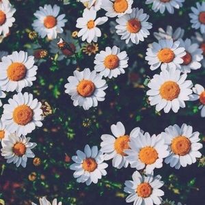 Meet your Posher, Mackenzie